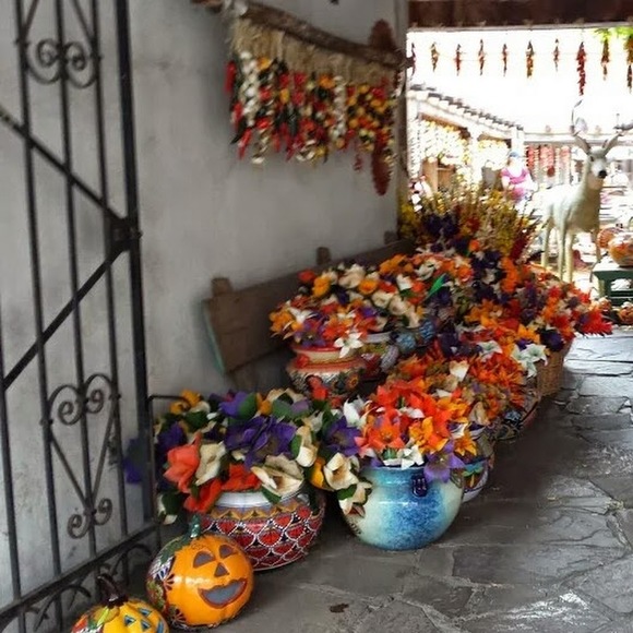 Meet your Posher, Susan - Picture 1 of 1